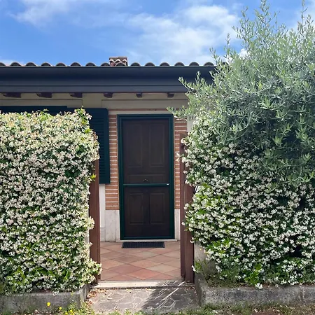 La Di Veronica * Roma