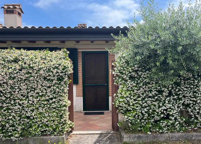 La Di Veronica * Roma